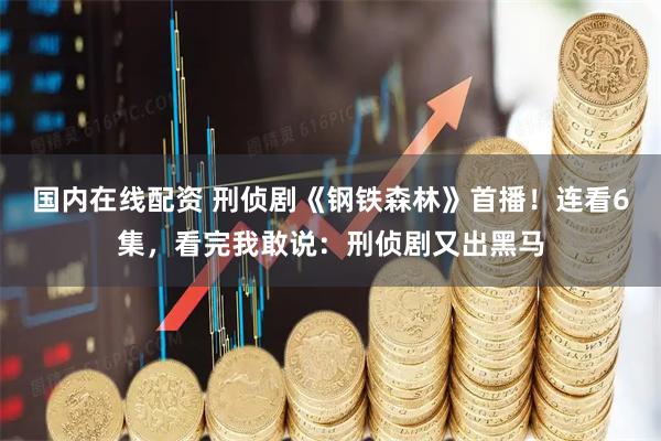 国内在线配资 刑侦剧《钢铁森林》首播！连看6集，看完我敢说：刑侦剧又出黑马