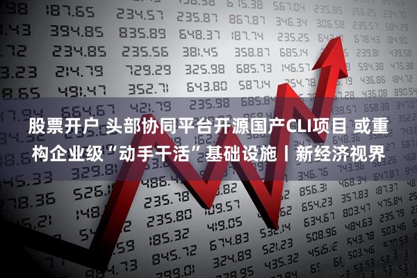 股票开户 头部协同平台开源国产CLI项目 或重构企业级“动手干活”基础设施丨新经济视界