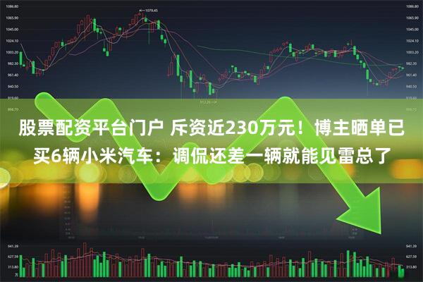 股票配资平台门户 斥资近230万元！博主晒单已买6辆小米汽车：调侃还差一辆就能见雷总了